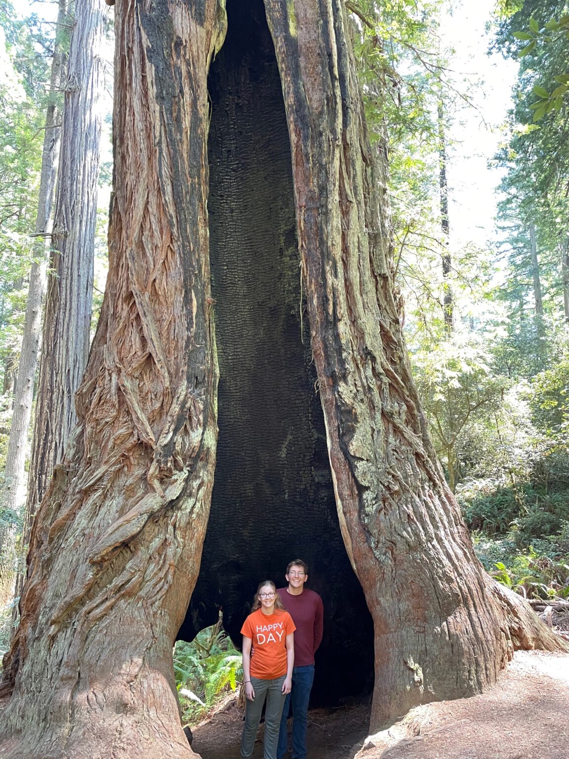 two people posing inside a tree