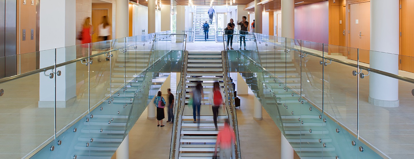 medical school hallway